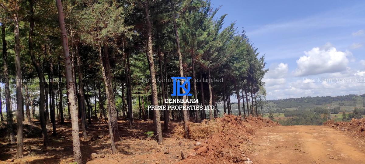 0.05 ha Land at Thigio - 6