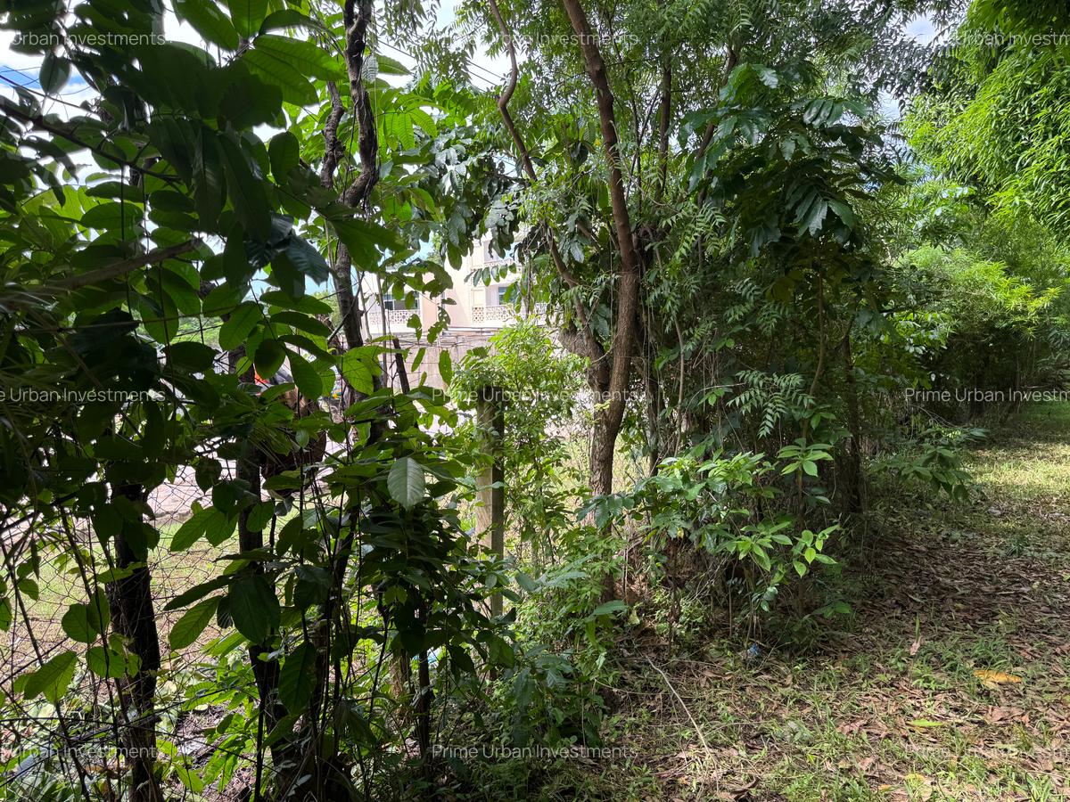 Land in Vipingo - 12