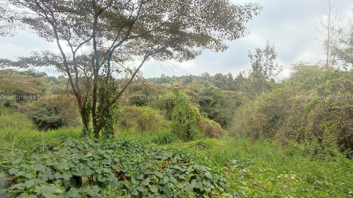 2 ac Land in Karen - 9
