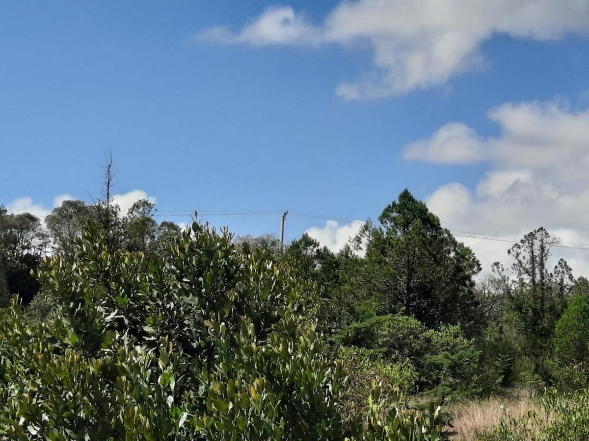 6 ac Land in Nanyuki - 2