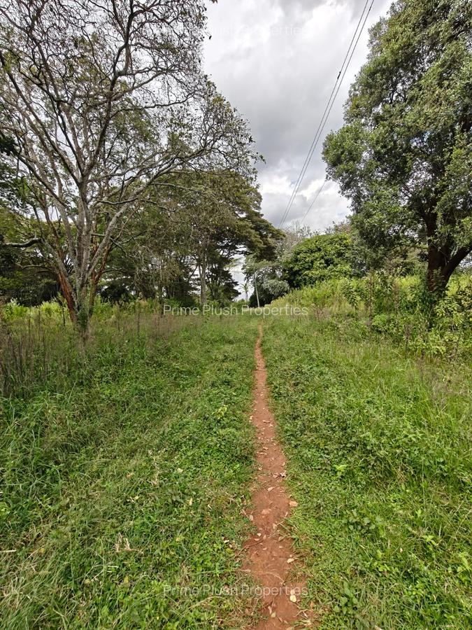 9 ac Land in Karen - 2