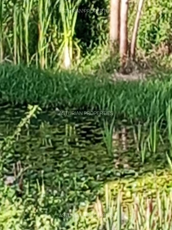 36 ac Land in Kikuyu Town - 10