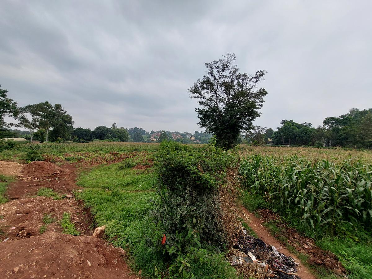 Residential Land at Kitisuru Ridge 44 - 10