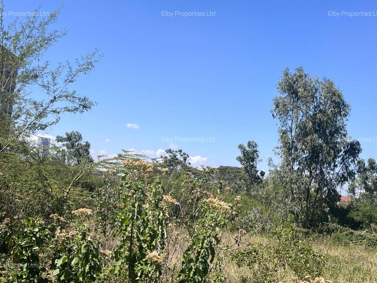 Commercial Land in Upper Hill - 9