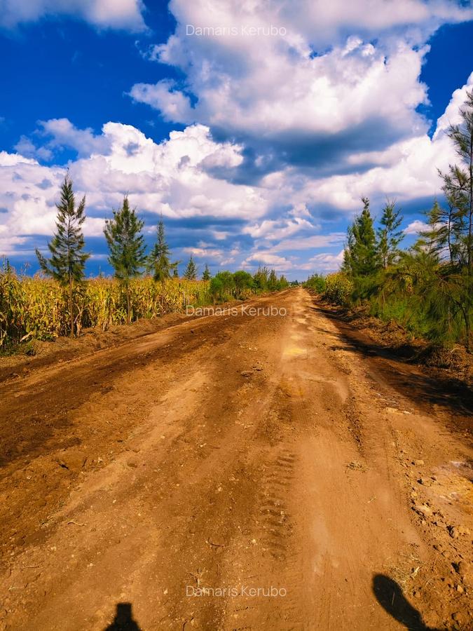 0.23 ac Land at Ngata - 3