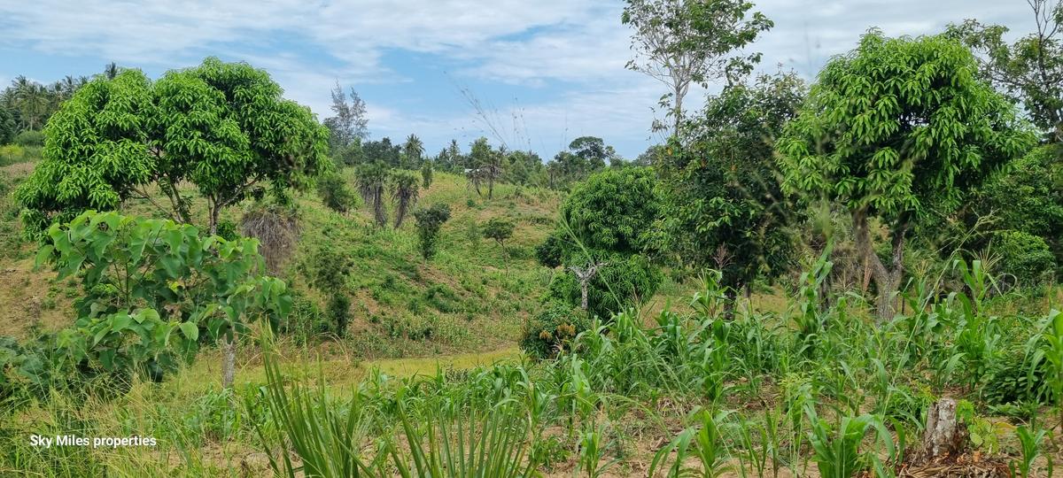 2 ac Land at Mtwapa - 5