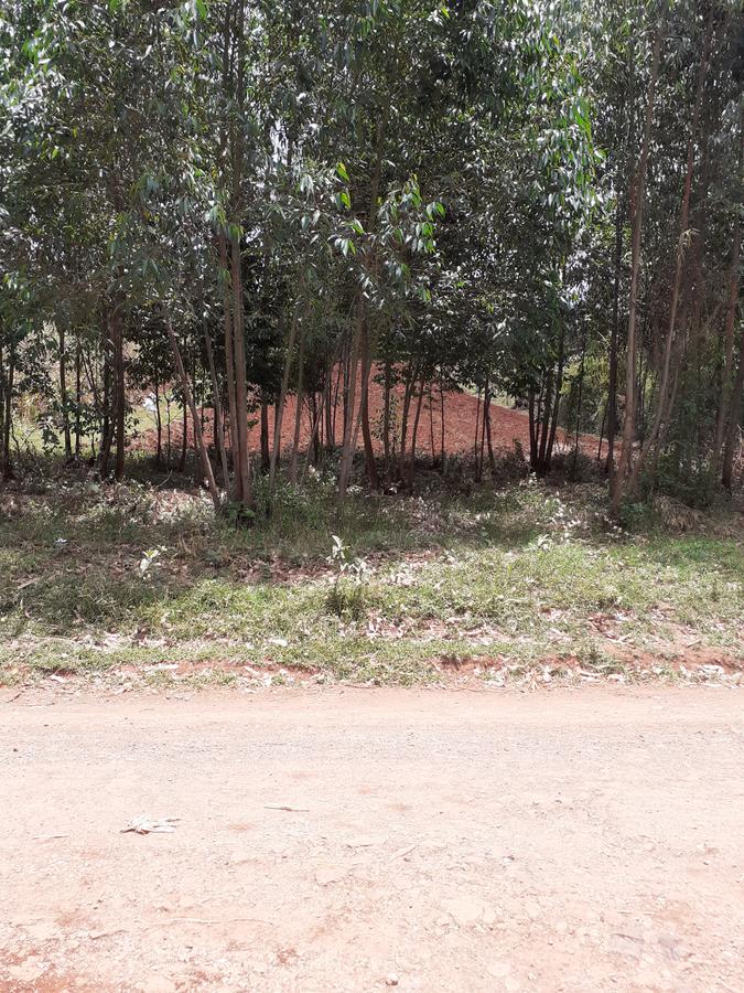 0.7 ac Land in Kikuyu Town - 3