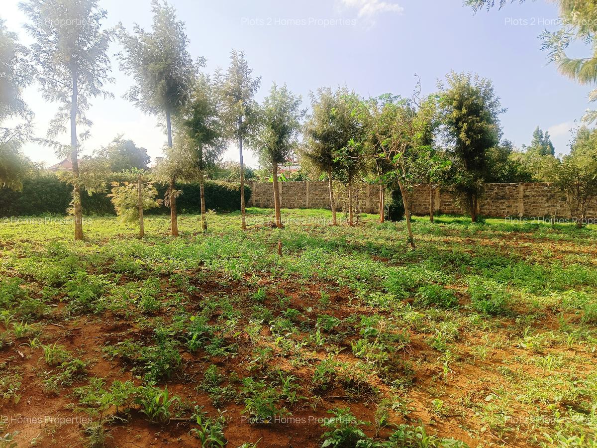 500 m² Residential Land at Nairobi Ndogo Estate - 12