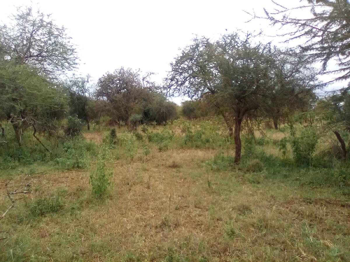 Land at Namanga Rd - 14