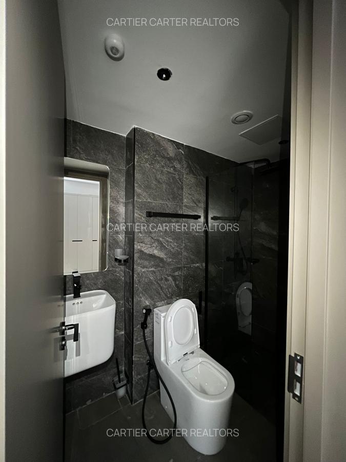 Studio Apartment with Swimming Pool in Upper Hill - 3