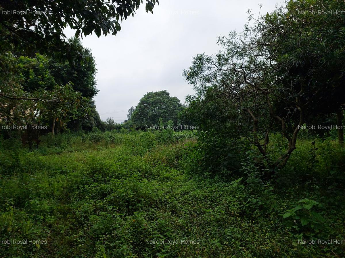 Commercial Land at Redhill Road - 11