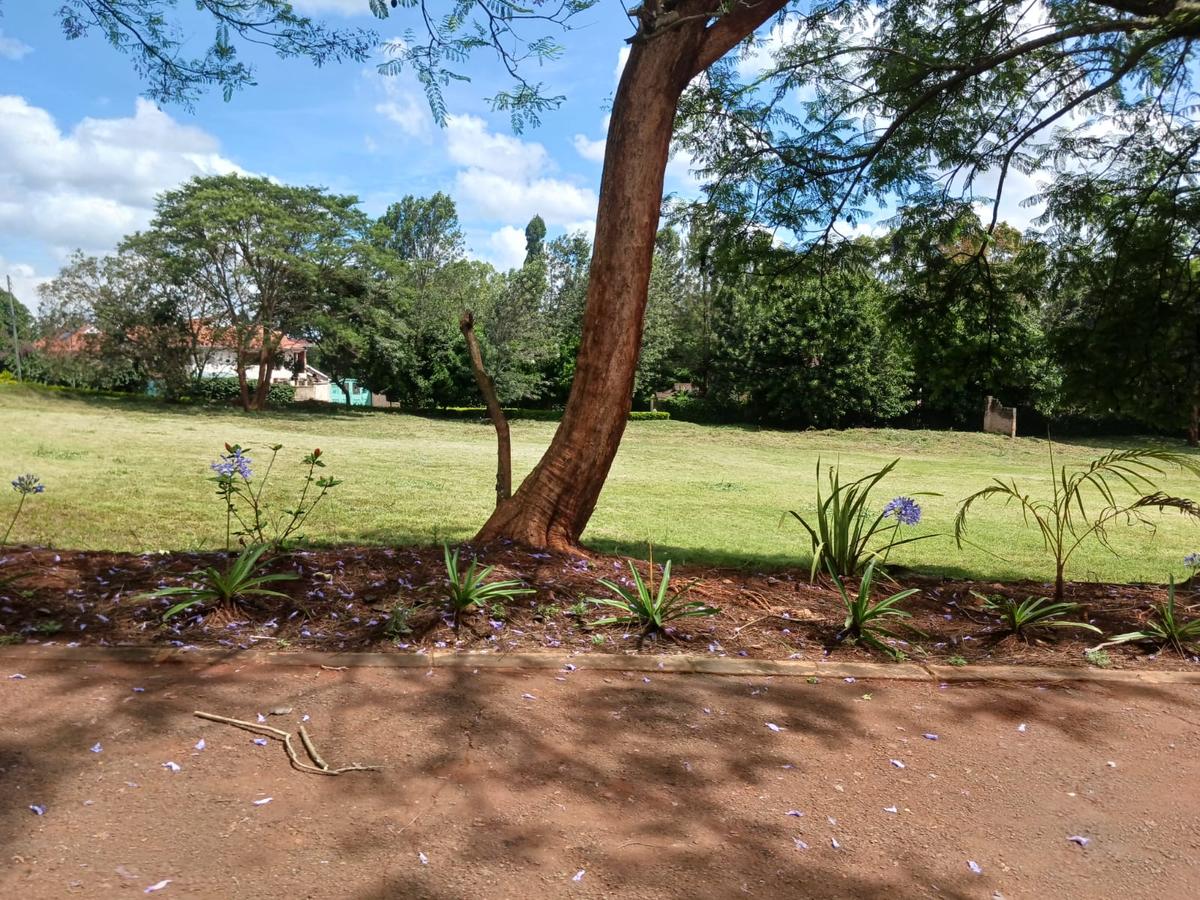 2.25 ac Land at Kitisuru - 11