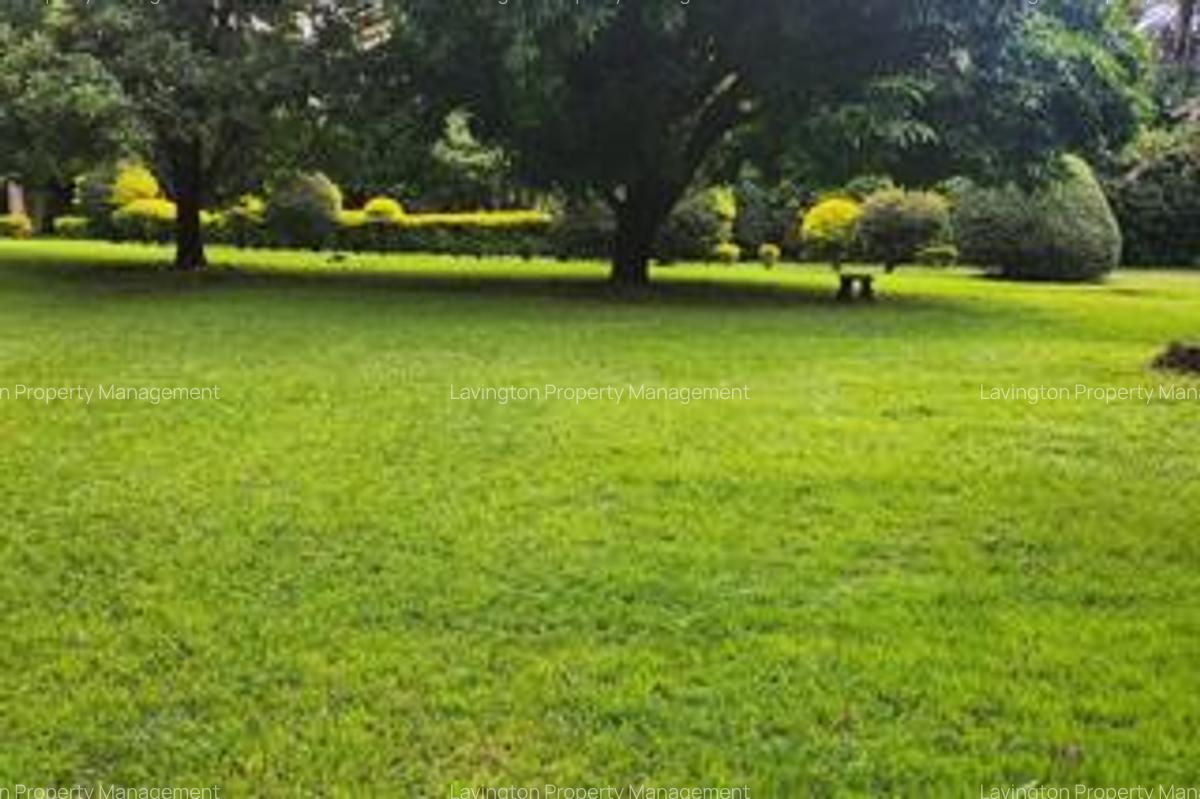 0.75 ac Land at Kunde Rd - 1