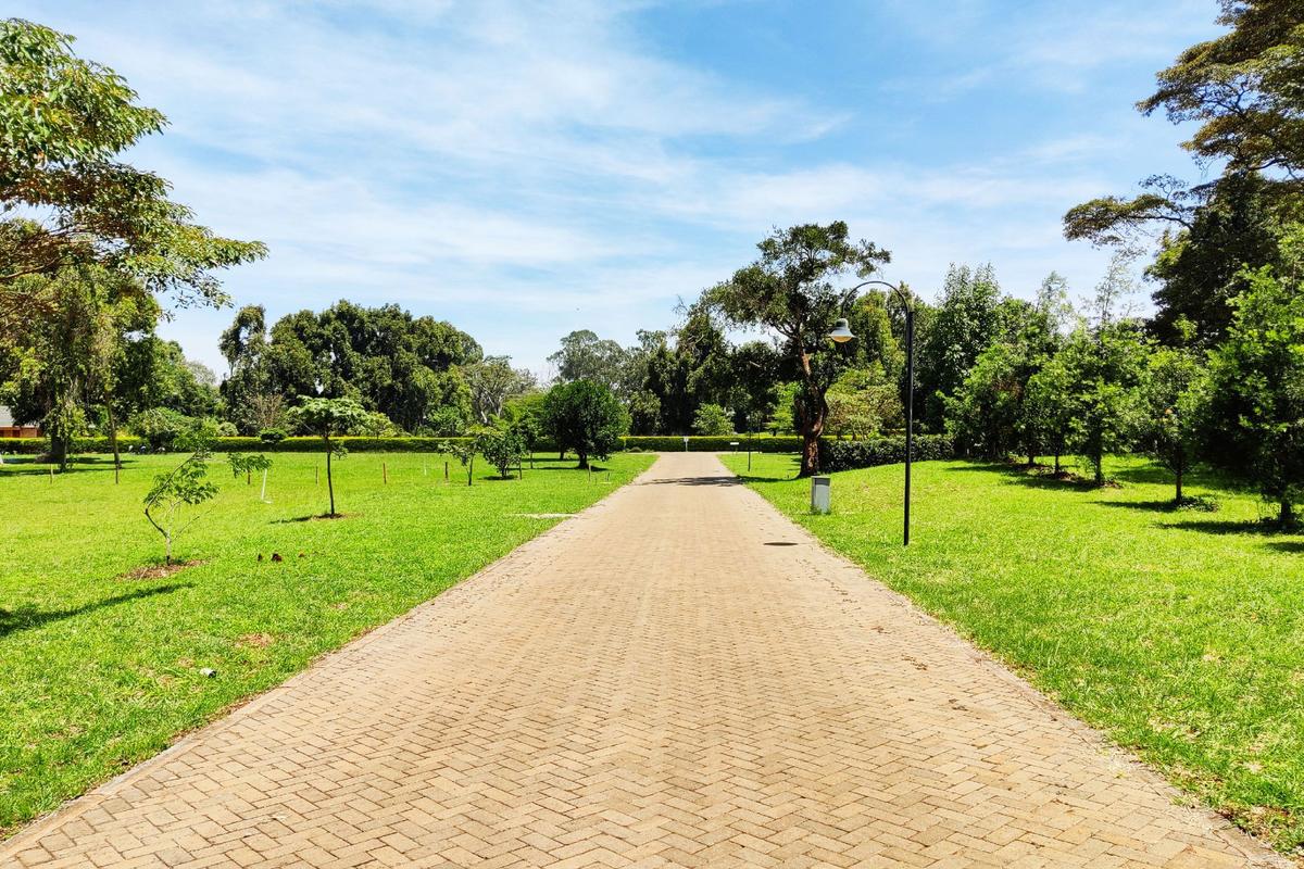 1 ac Residential Land at Three Dee Lane - 3