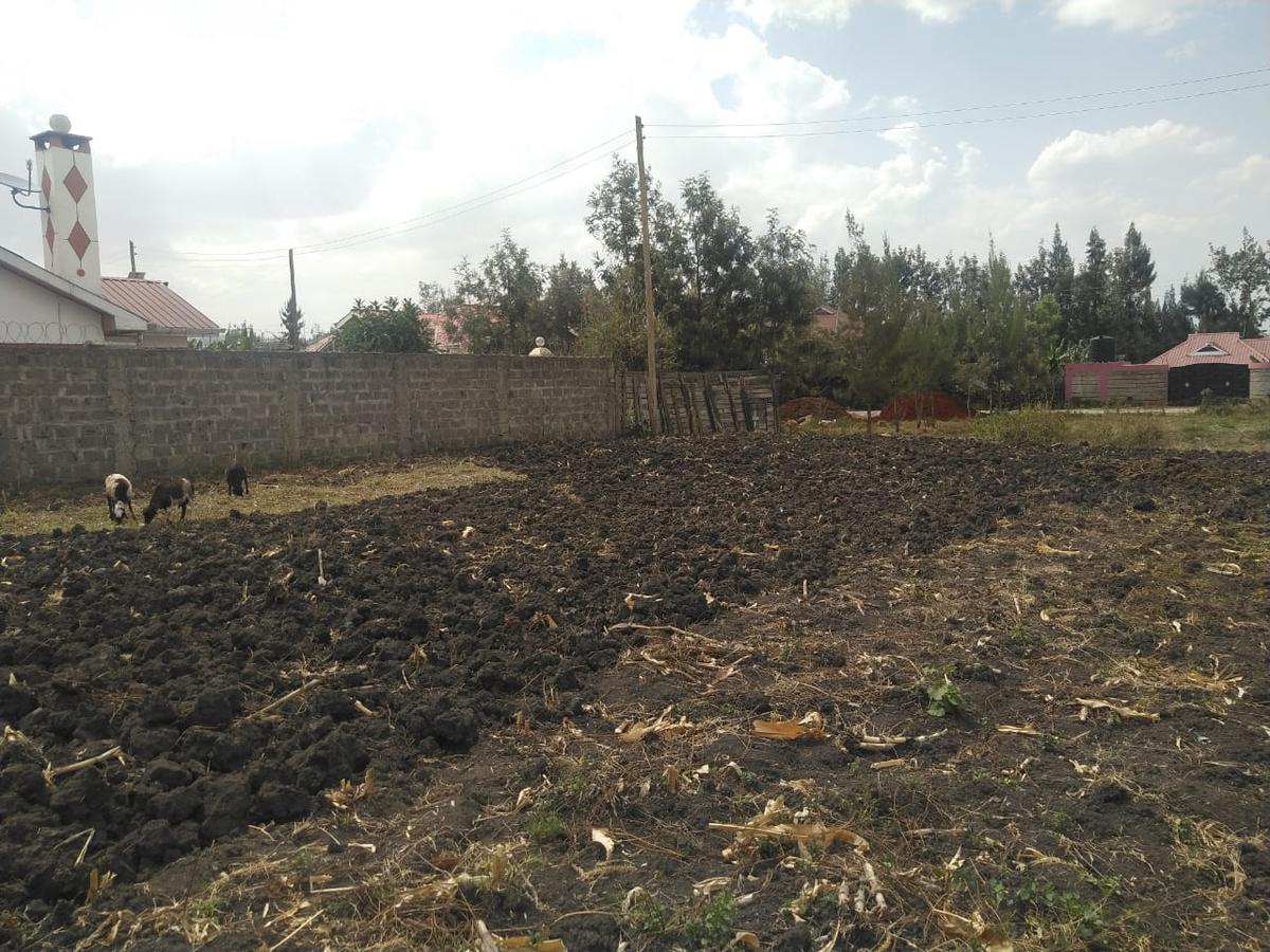 0.1 ac Residential Land in Ngong - 4