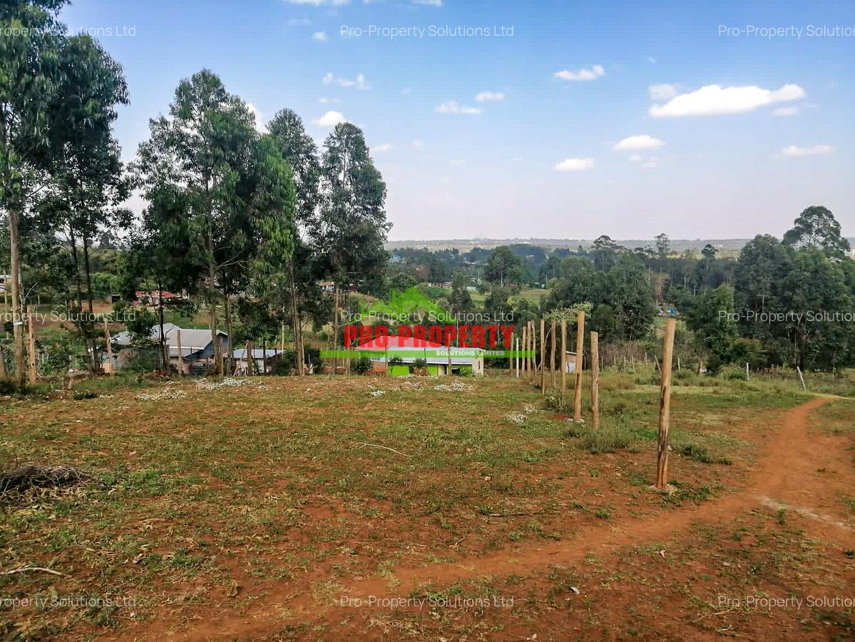 0.25 ac Residential Land at Kamangu - 10