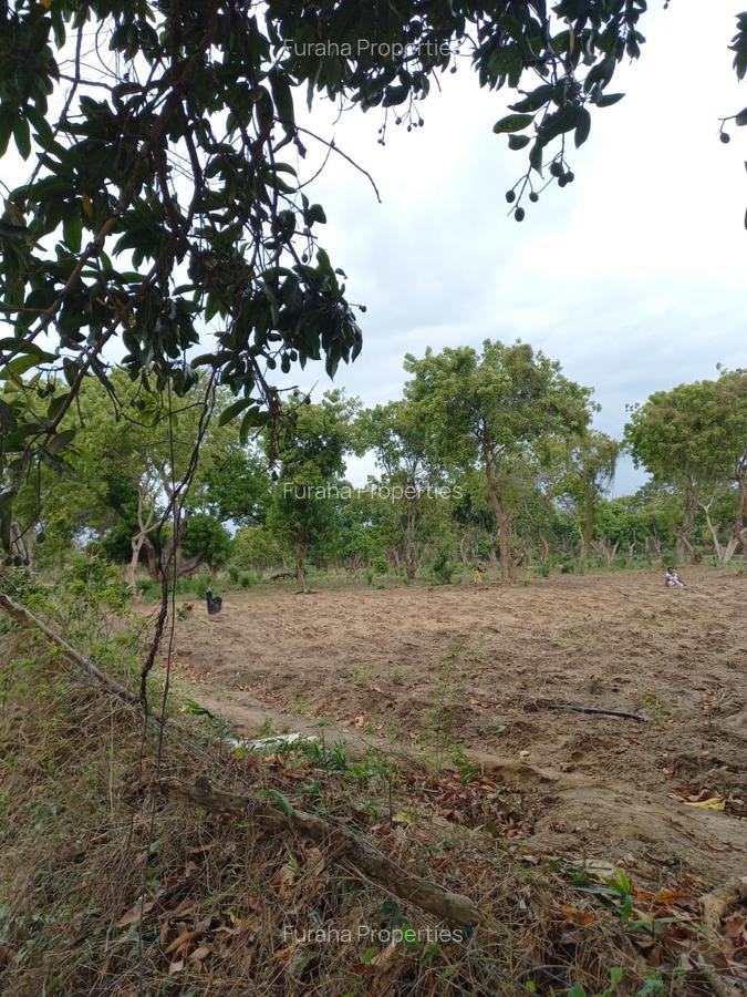 3 ac Residential Land in Kikambala - 4