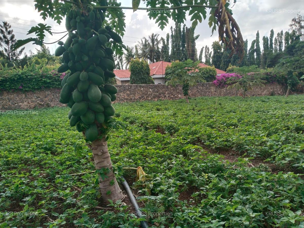 0.25 ac Land at Ls221 - 4