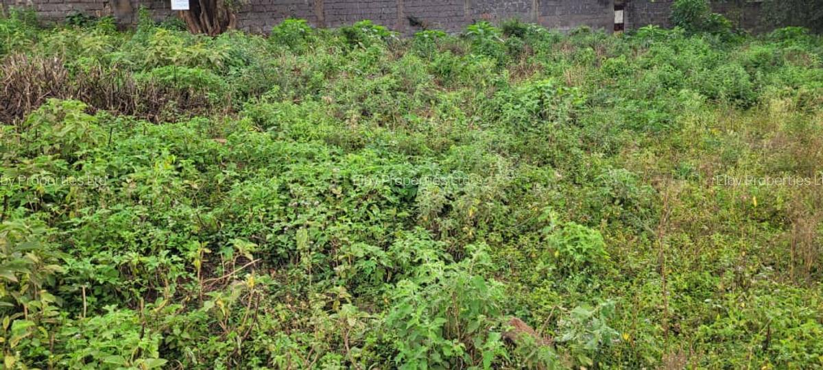 0.75 ac Land at Thindigua - 8