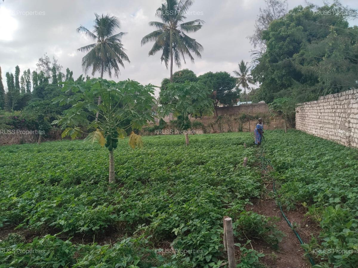 0.25 ac Land at Ls221 - 1