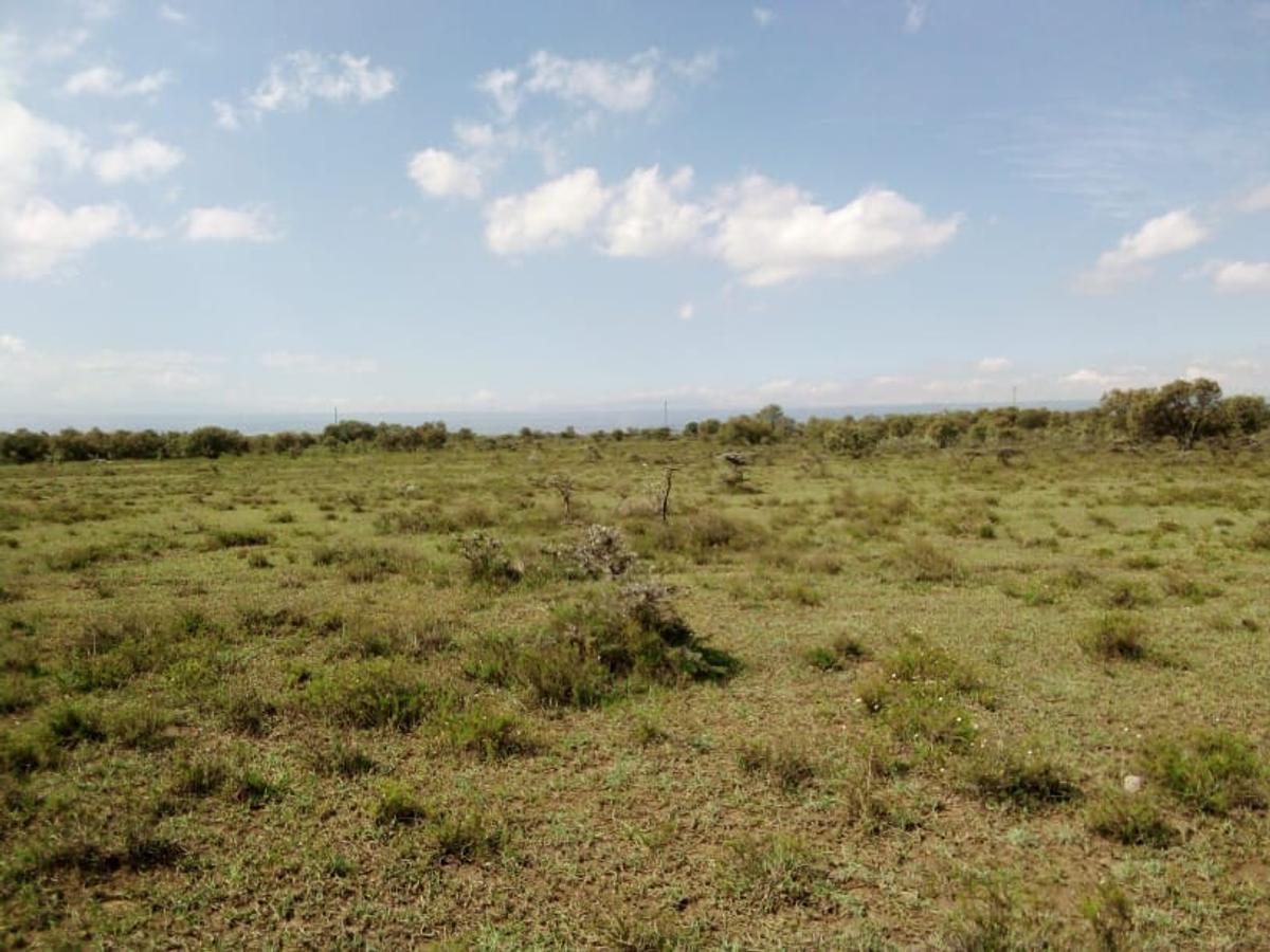 Land in Naivasha - 6