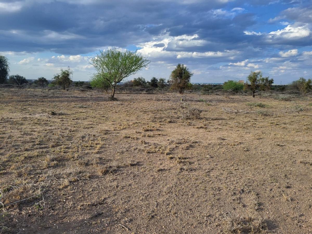 Land in Kajiado - 5