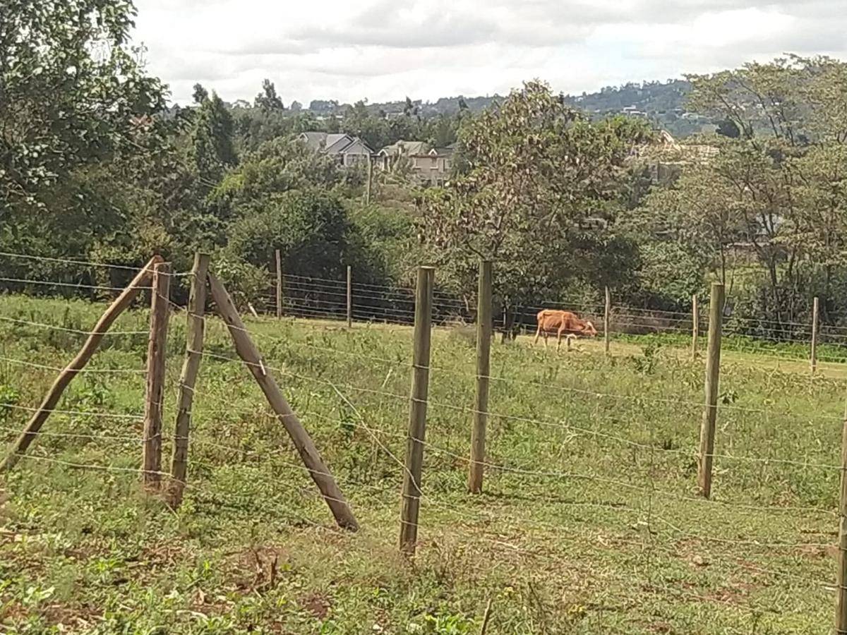 0.2 ha Residential Land in Ngong - 5