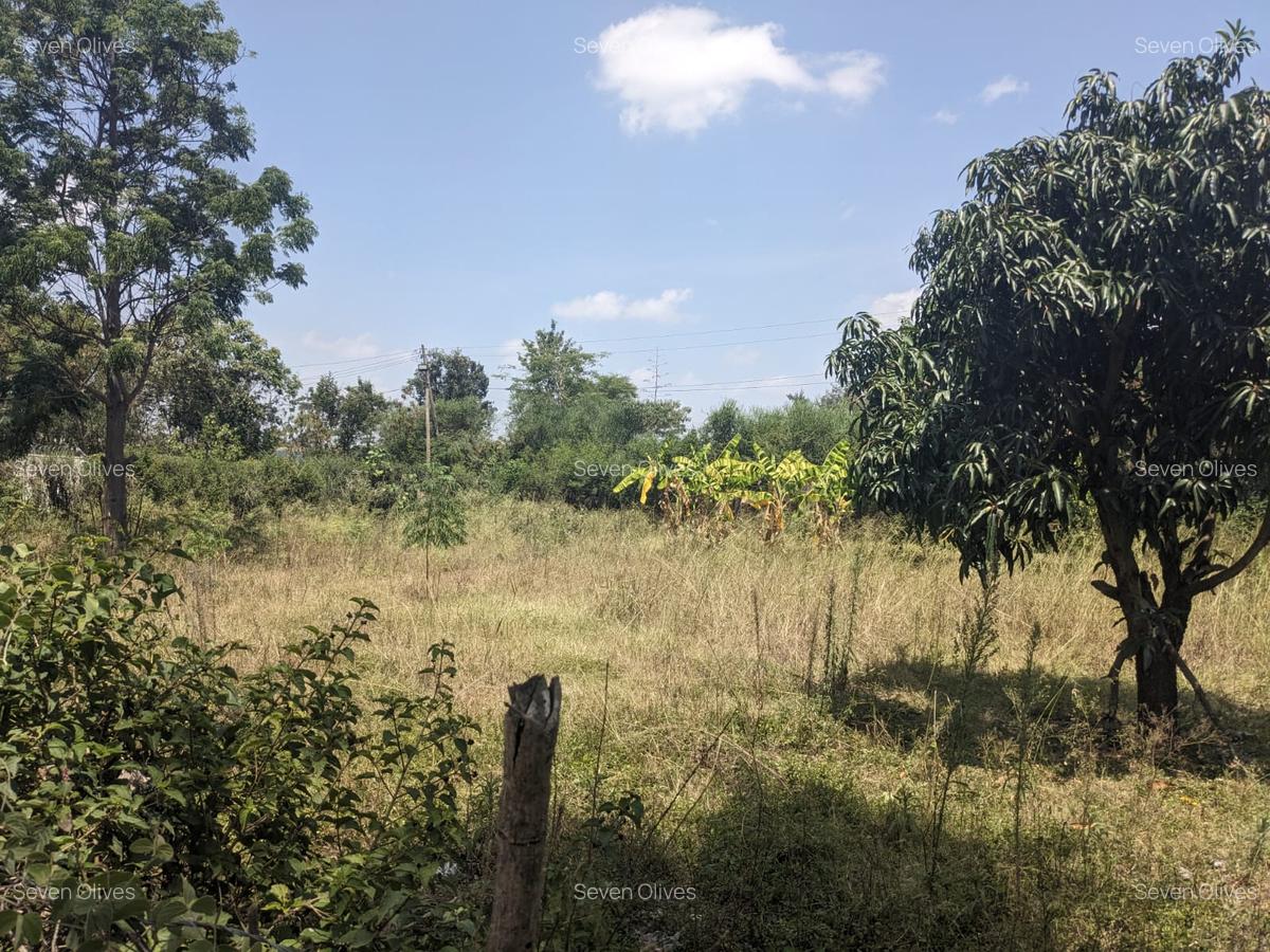 0.25 ac Land in Ruai - 1