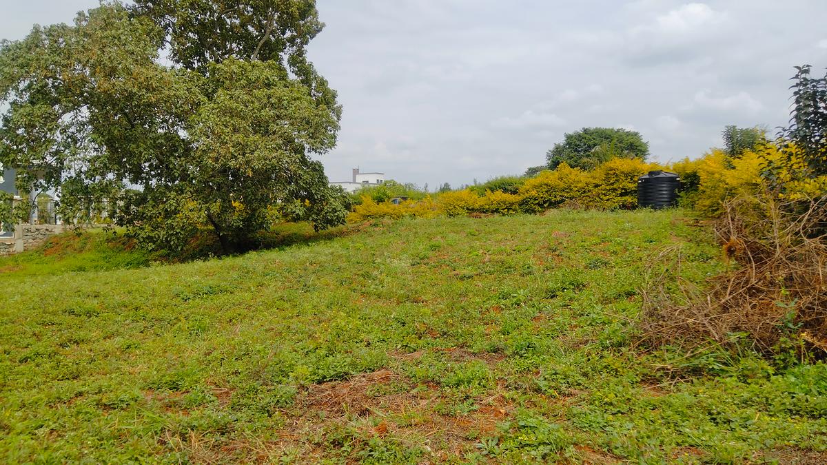 0.5 ac Land at Kijani Ridge