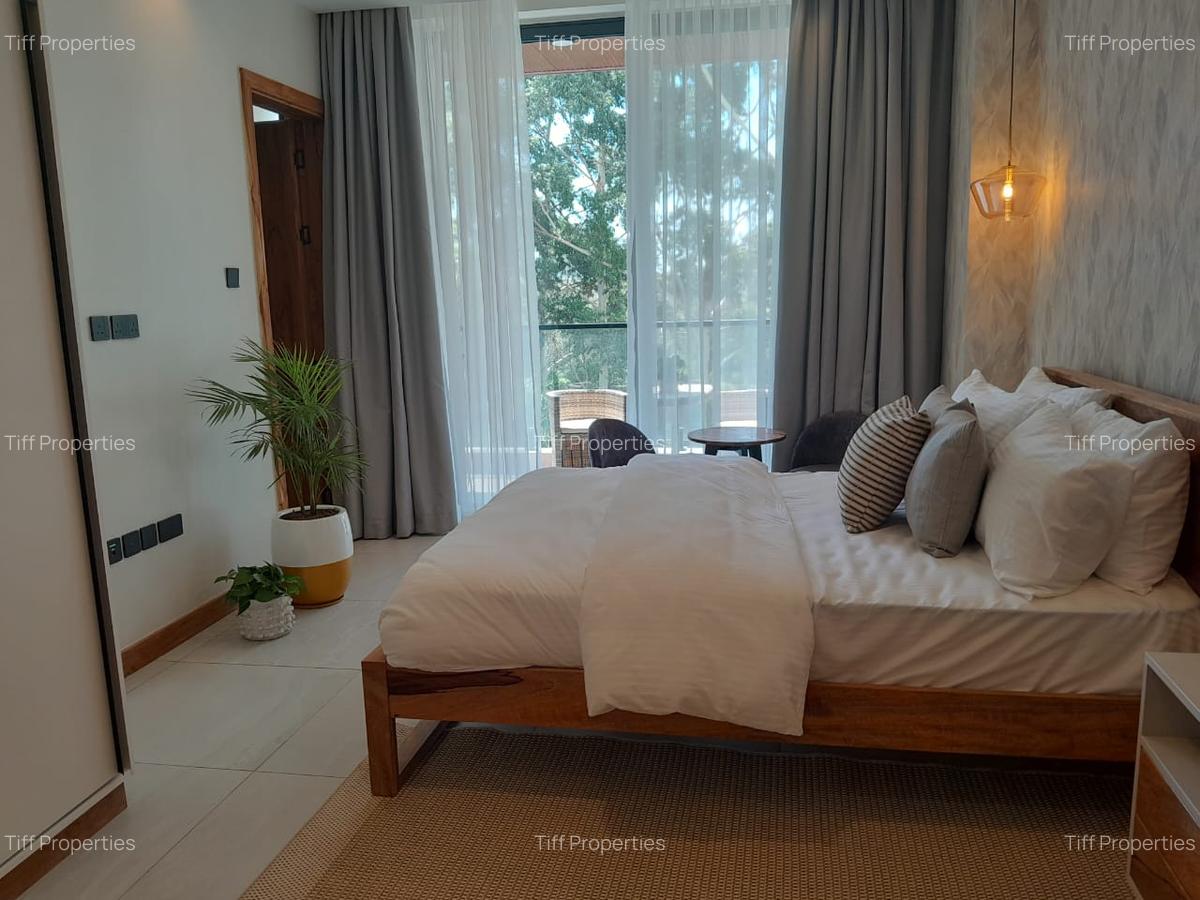 4 Bed Apartment with En Suite in Spring Valley - 19