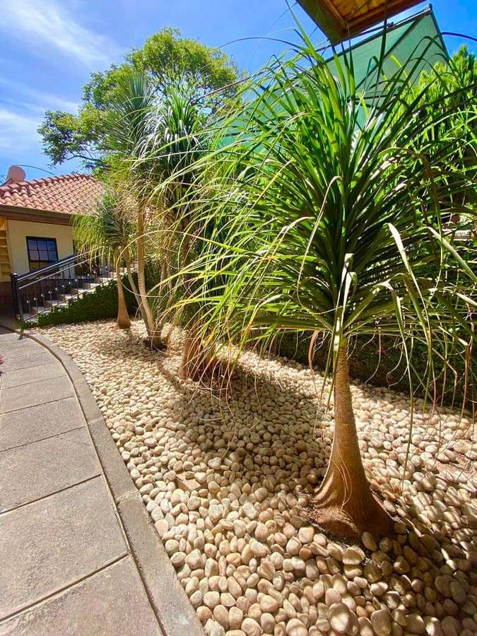 5 Bed Townhouse with En Suite in Rosslyn - 10