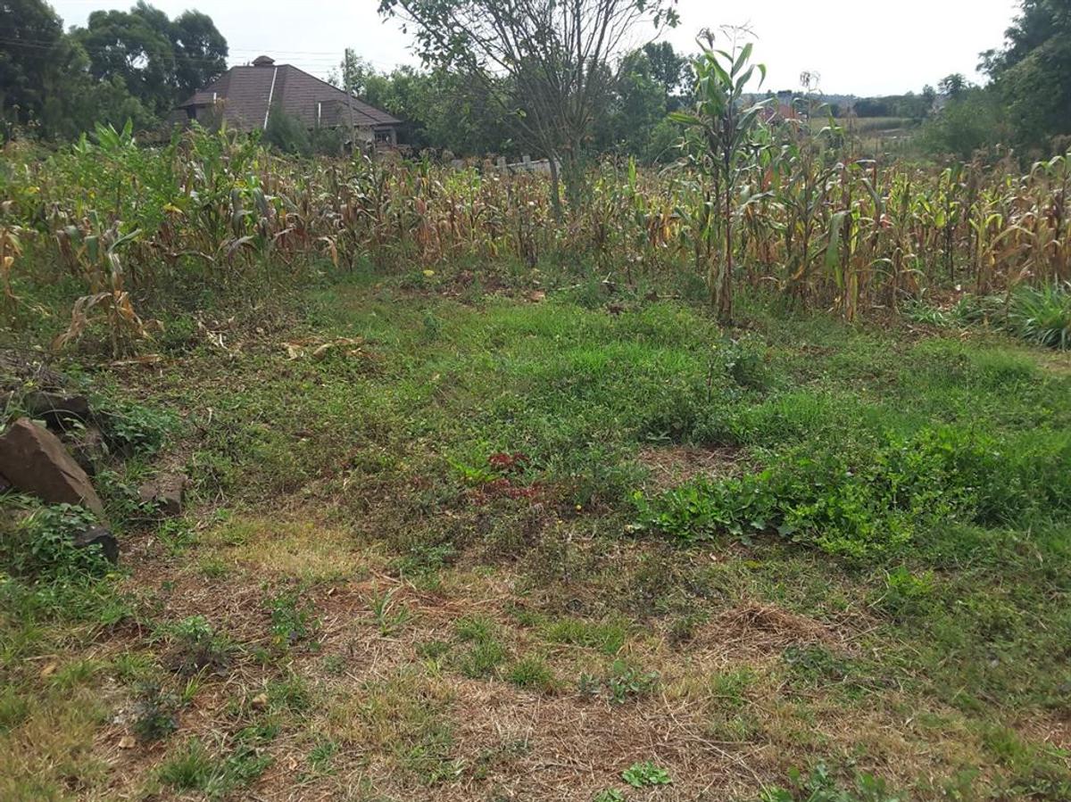 Land in Ngong - 1