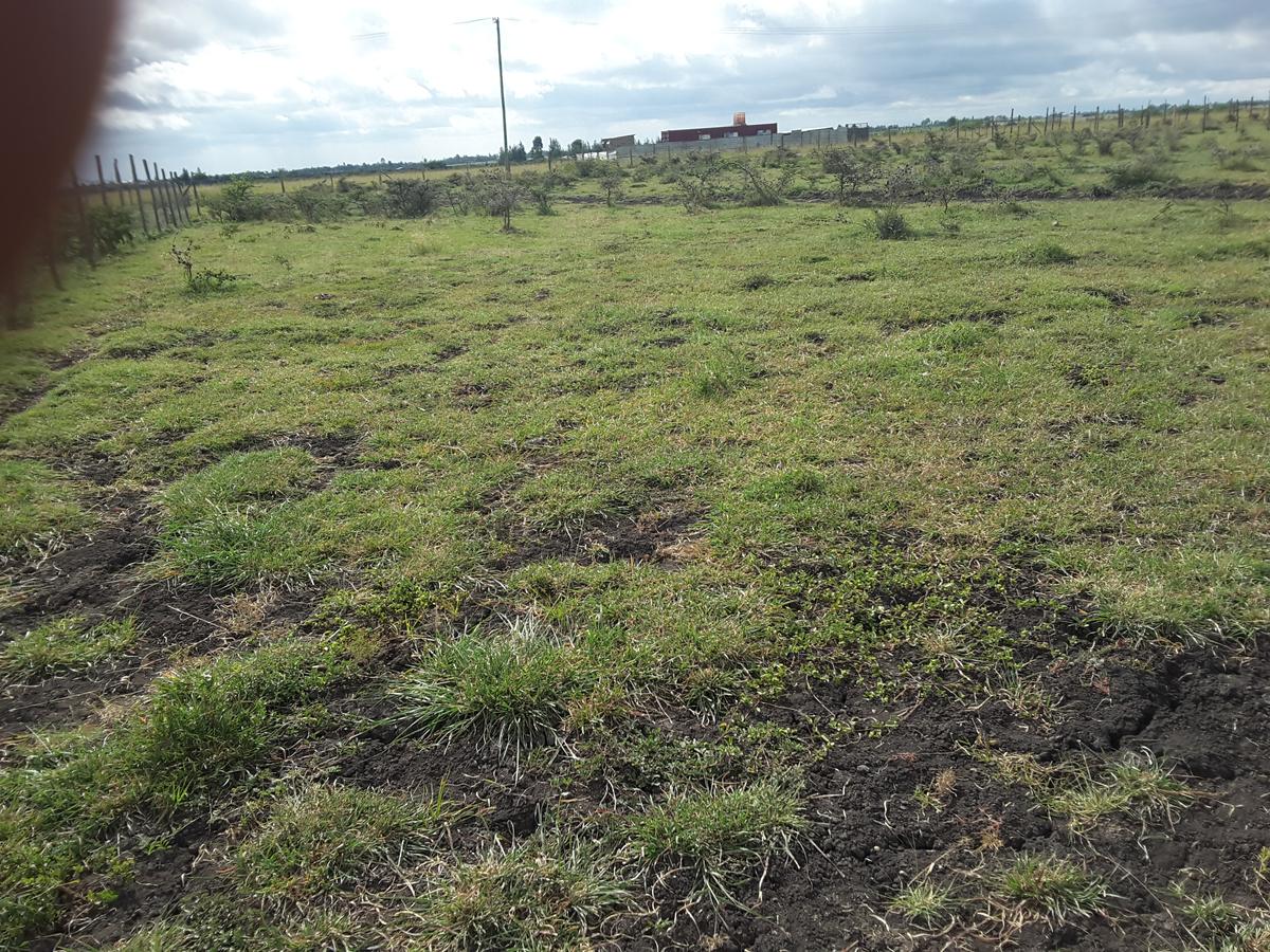 0.1 ha Residential Land in Ongata Rongai - 10