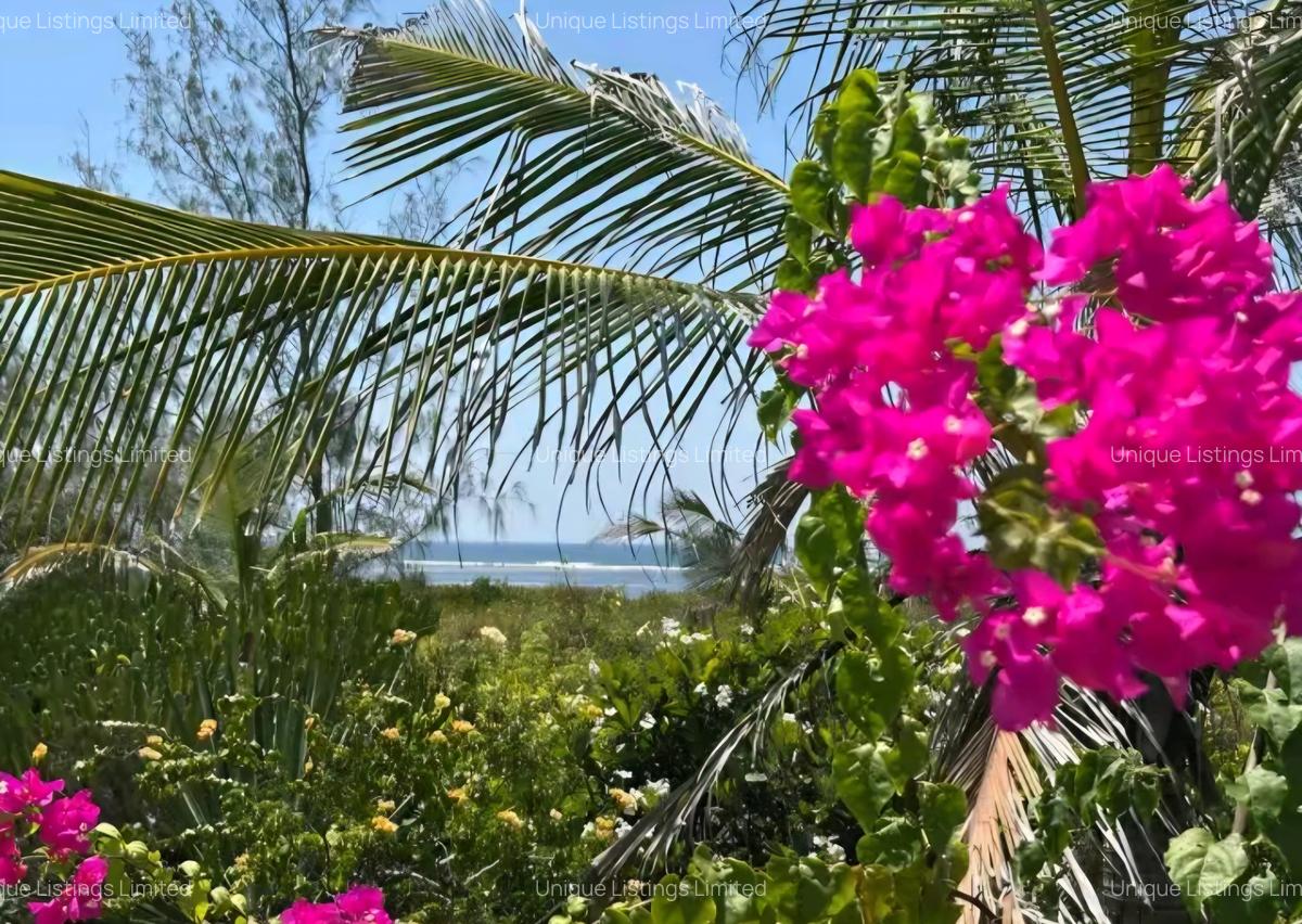 4 ac Land in Watamu - 16