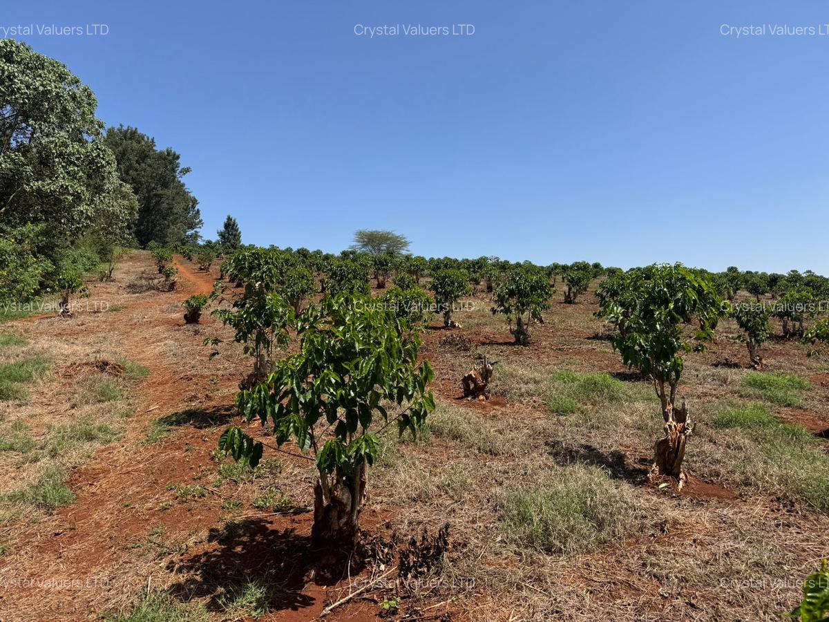 Land in Tatu City - 3