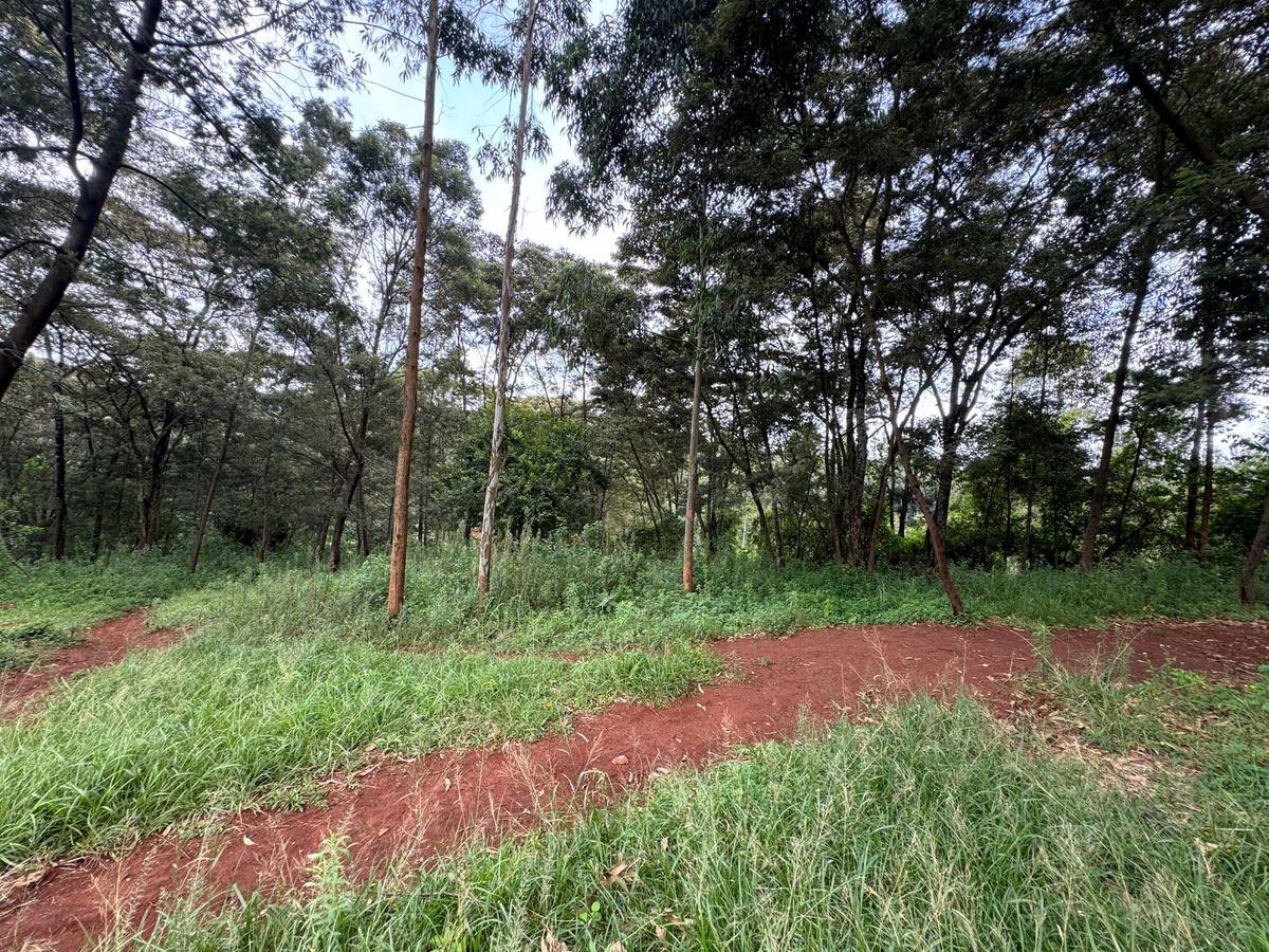 Land in Uthiru - 3