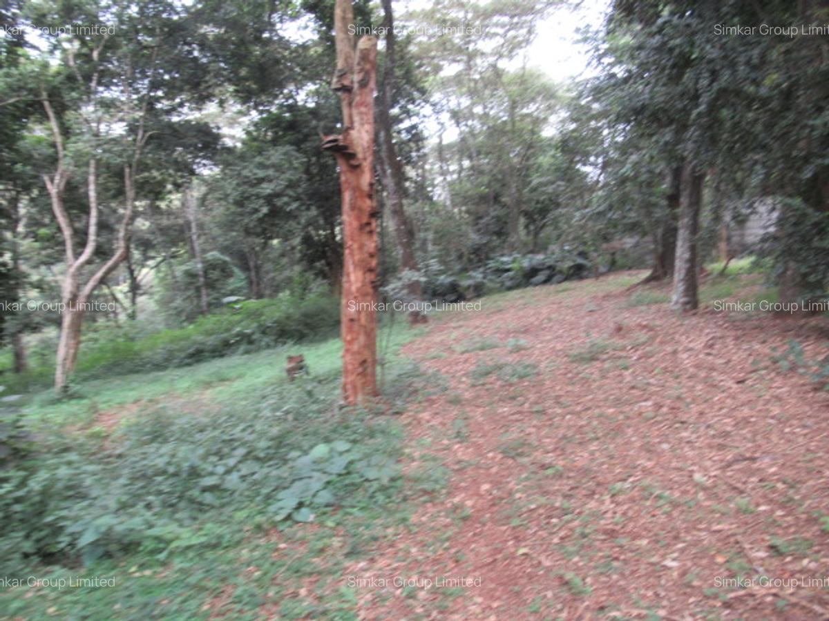 4 ac Land at Mushroom Gardens - 7