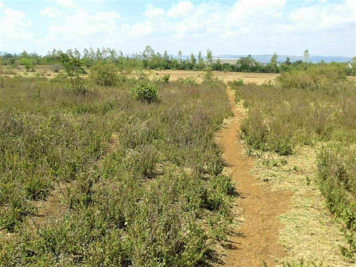 433,029 m² Land in Naivasha - 1