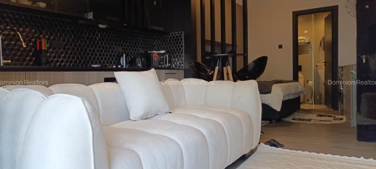 Furnished Studio Apartment with En Suite at Off Raphta Road - 5