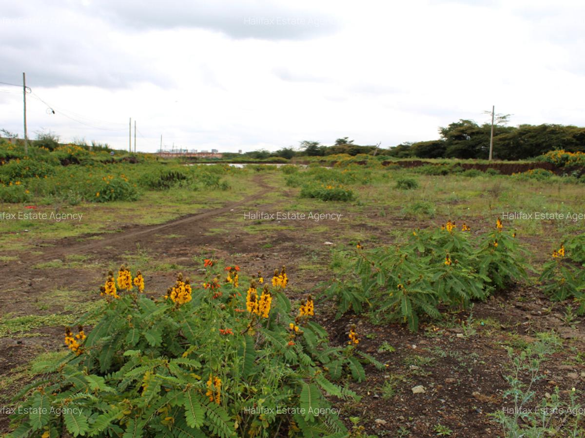 0.5 ac Residential Land in Langata - 3