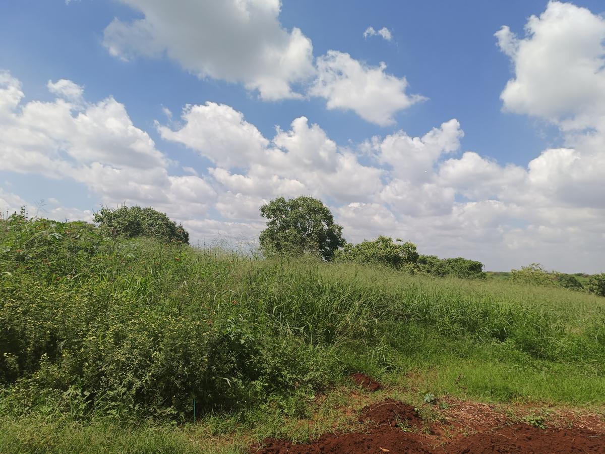 25 ac Land at Off Paradise Lost Road - 1