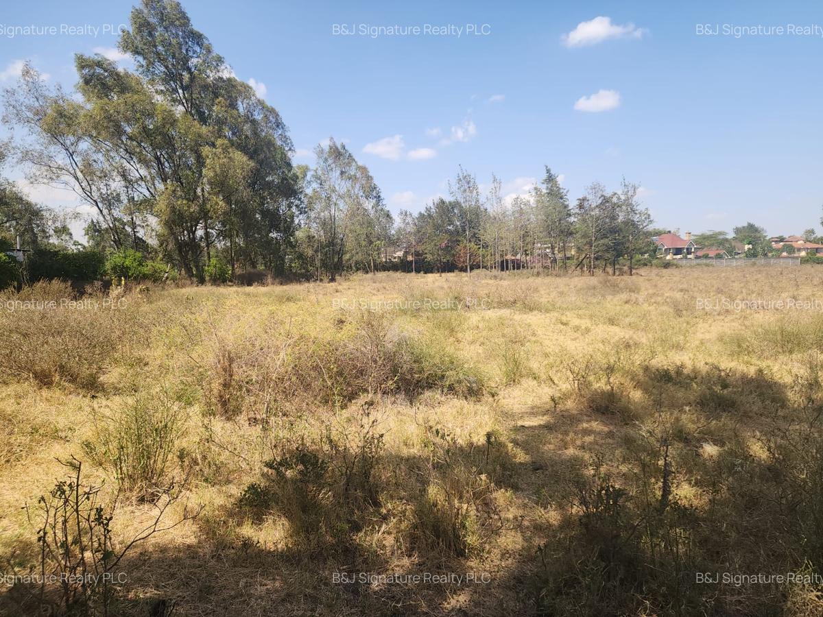 0.5 ac Land in Karen - 2