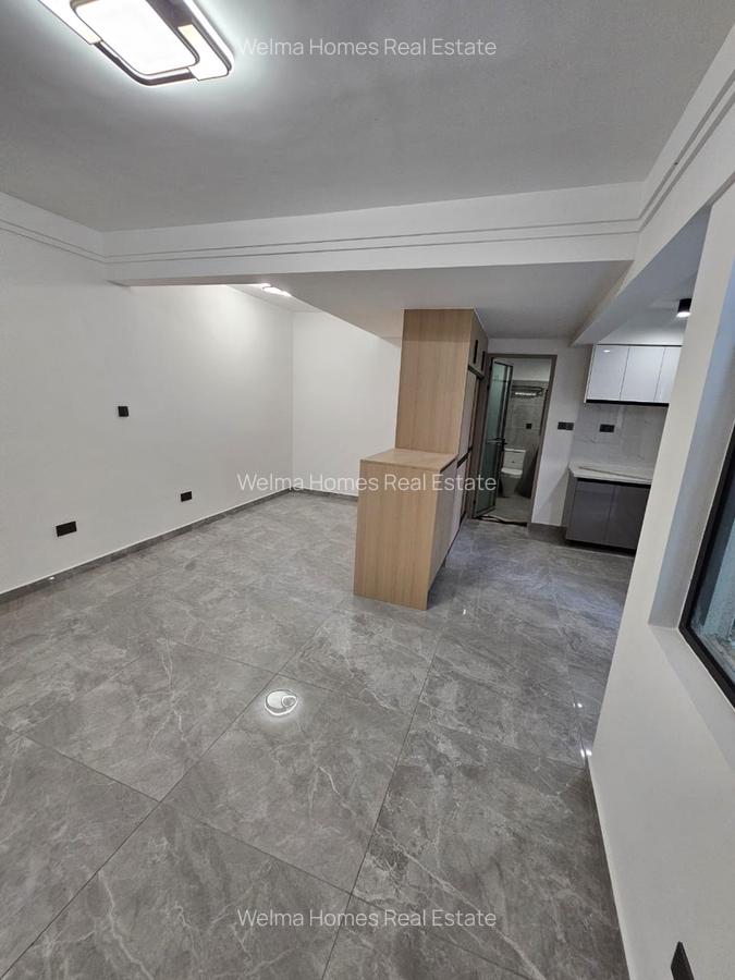 Studio Apartment with Gym in Lavington - 3