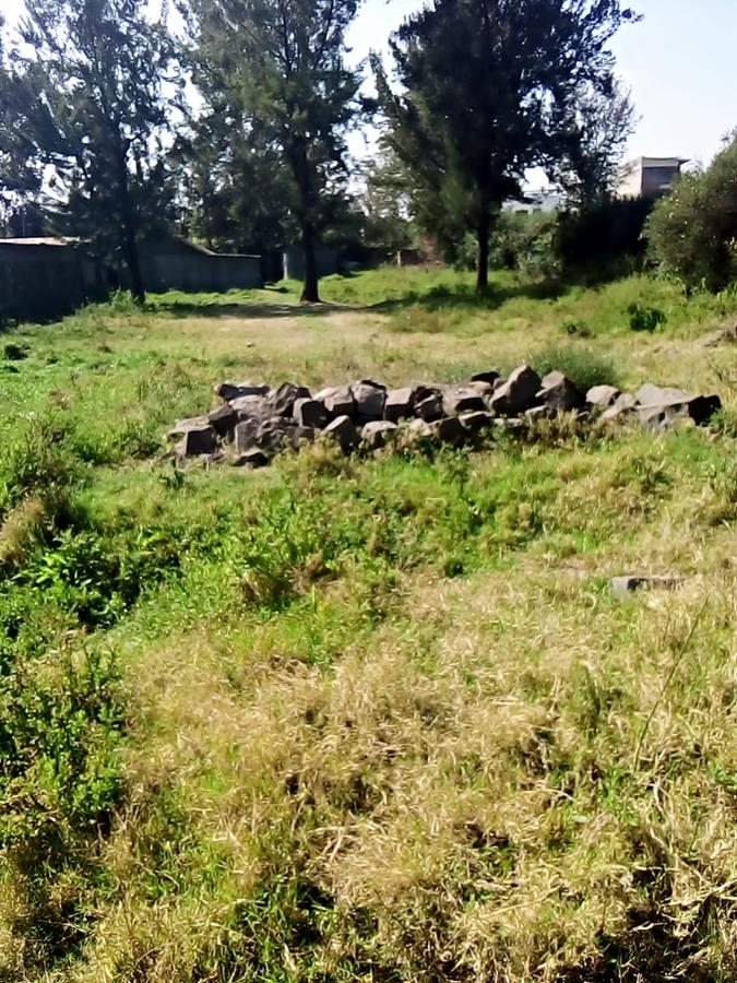 0.5 ac Land at Bulbul Ngong Nairobi Town - 5