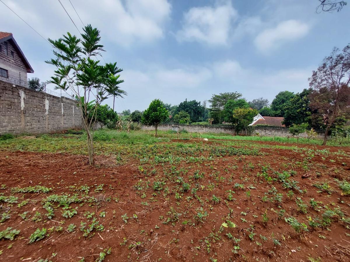 Residential Land at Pan African Insurance Avenue - 2