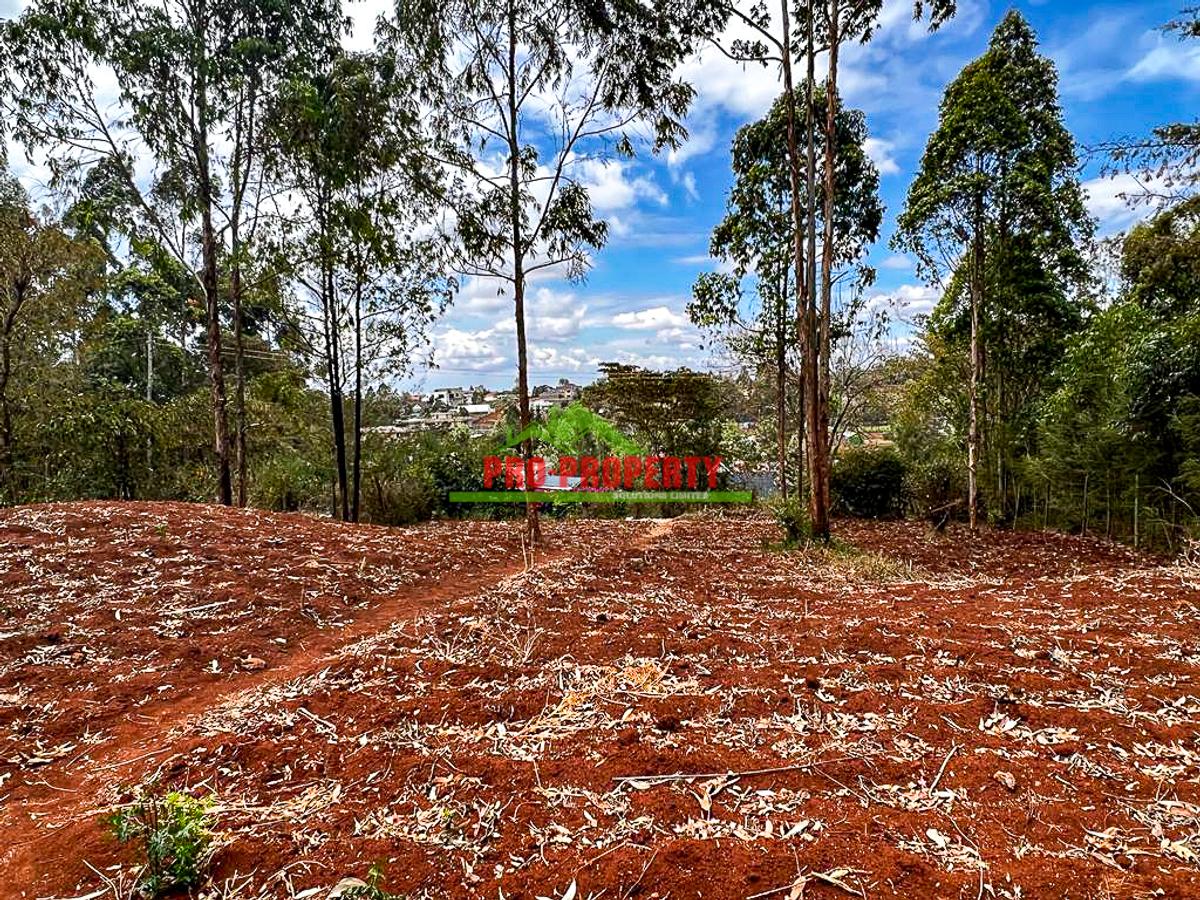 0.05 ha Residential Land in Gikambura - 8