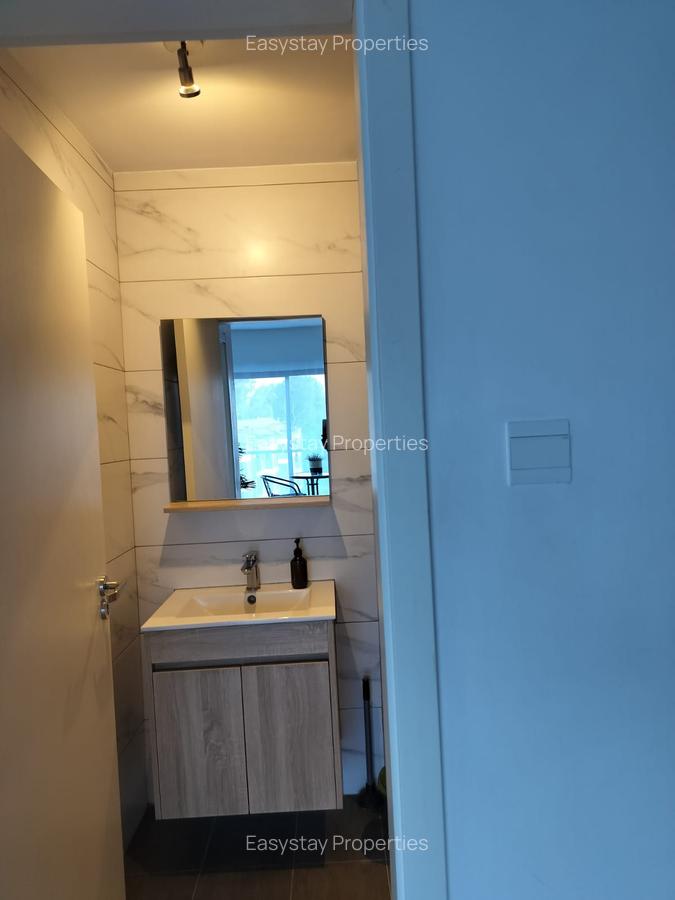 Furnished 1 Bed Apartment with Swimming Pool in Lavington - 10