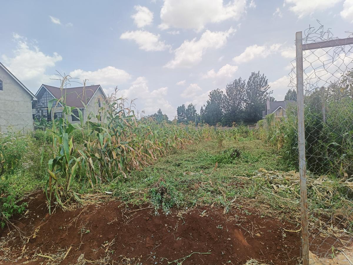 0.05 ac Land at Mushroom Kagera - 13