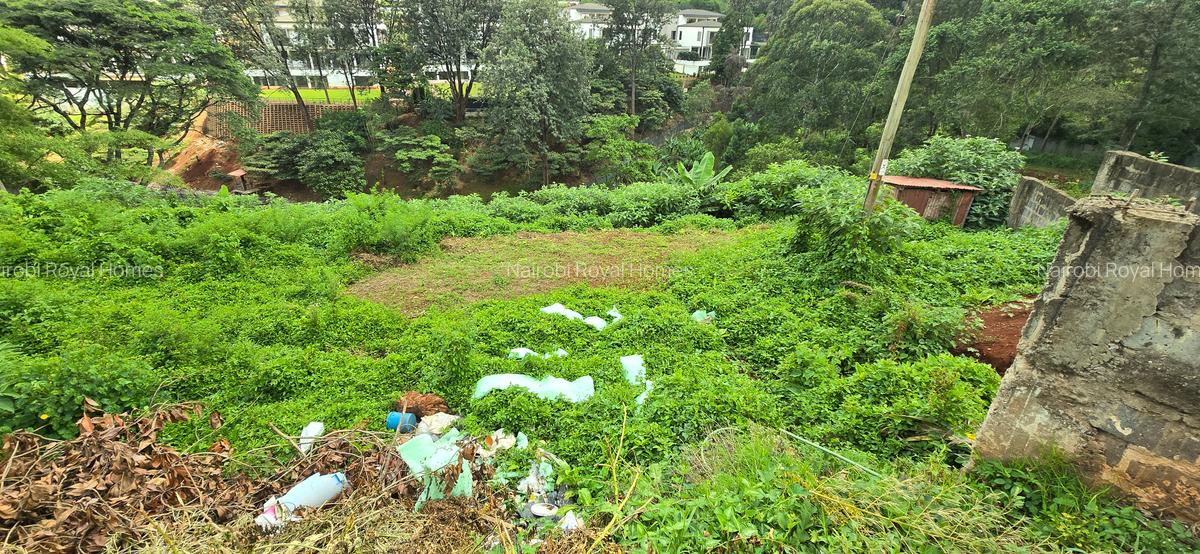 Residential Land at Kitisuru Road - 5