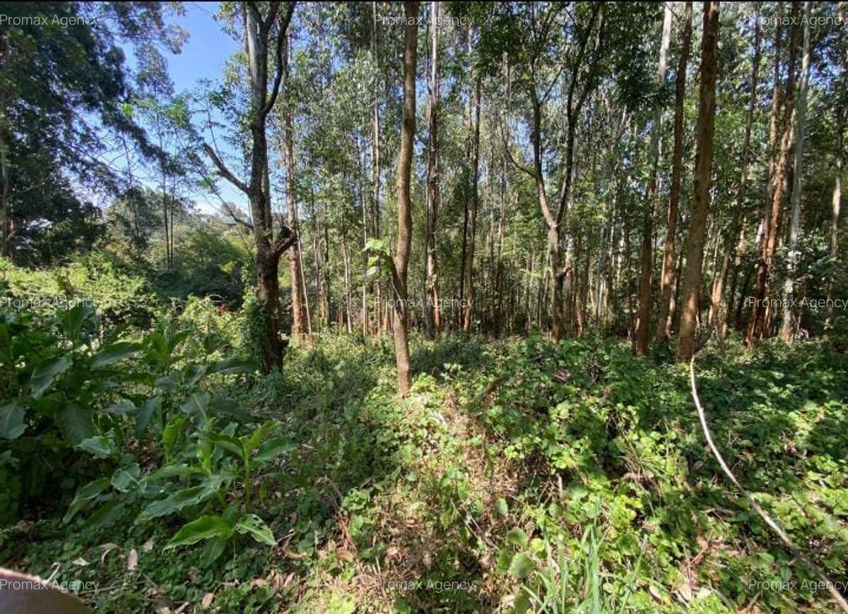 Land in Kitisuru - 8